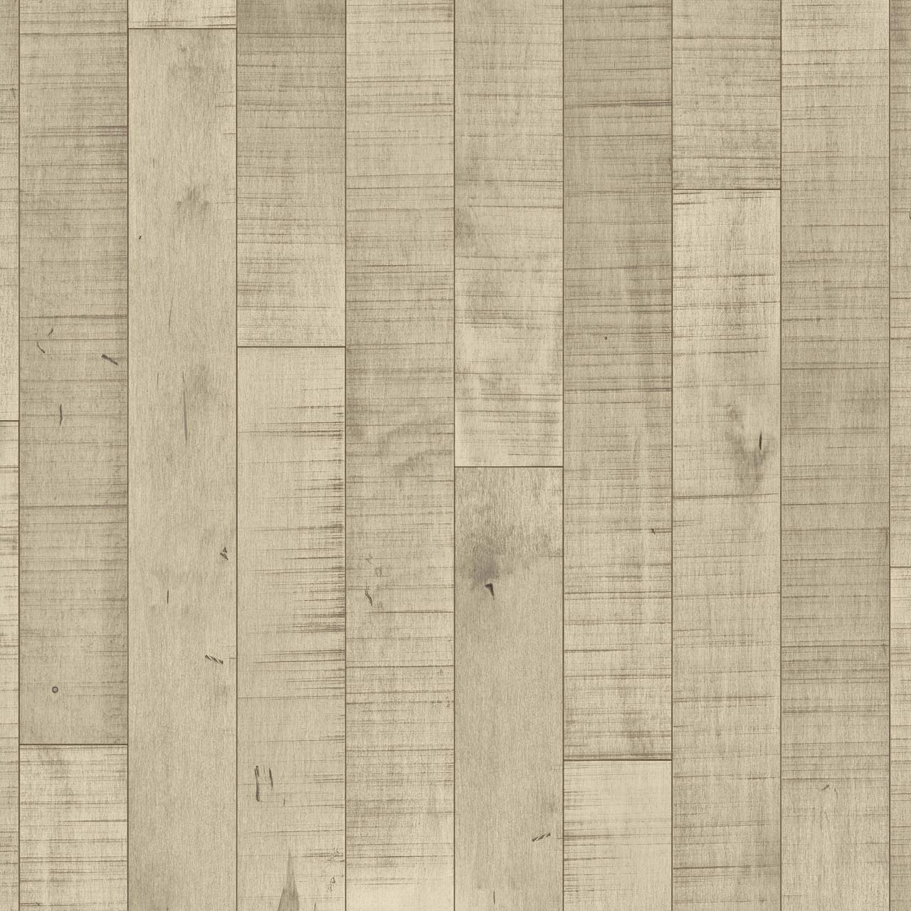 Hardwood Hard Maple Sample 2